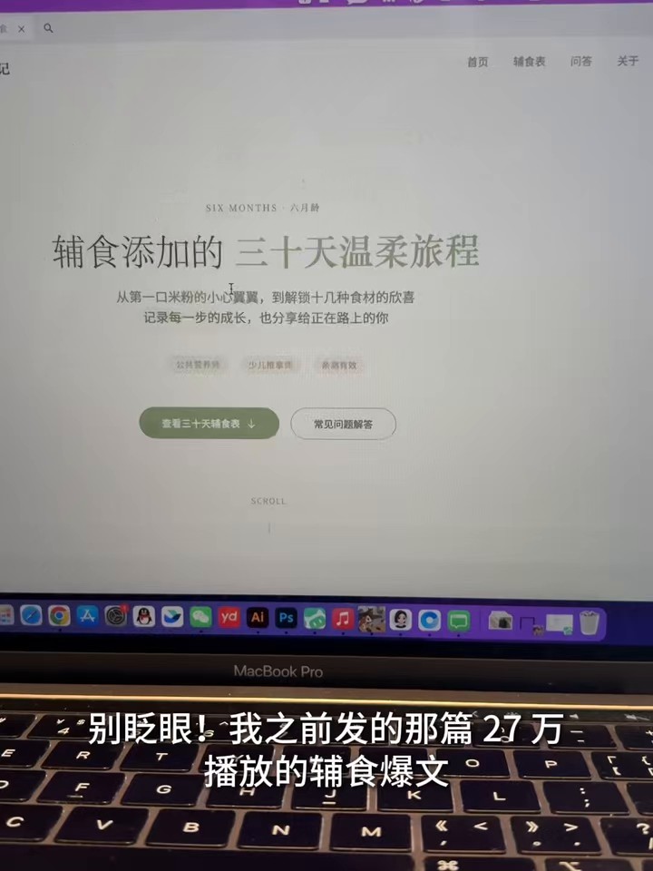辅食网站成品演示